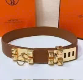 collier de chien belt 45mm red  epsom gold buckle