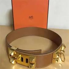 collier de chien belt 45mm red  epsom gold buckle