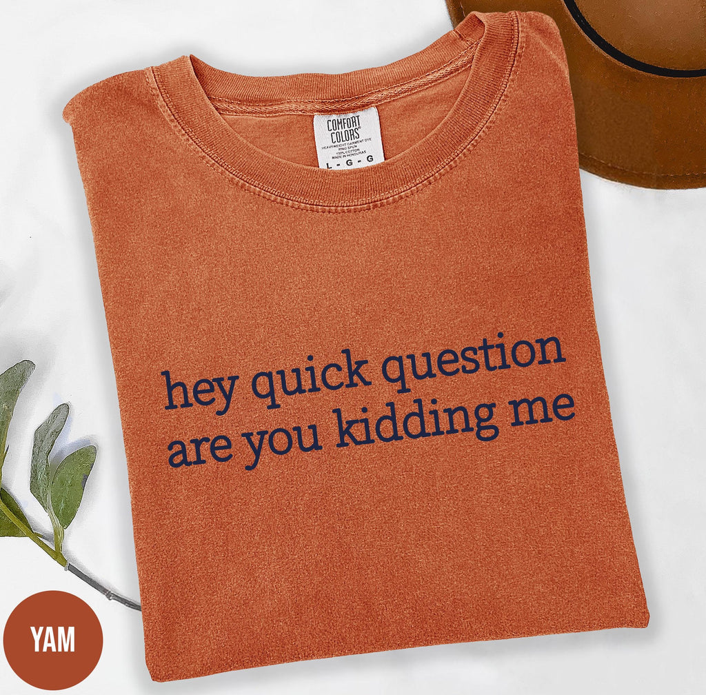 Comfort Colors® Hey Quick Question Are You Kidding Me Shirt,  Sarcastic Tshirt,  Funny Humor Shirt, Funny Meme Shirt, Mental Health Shirt