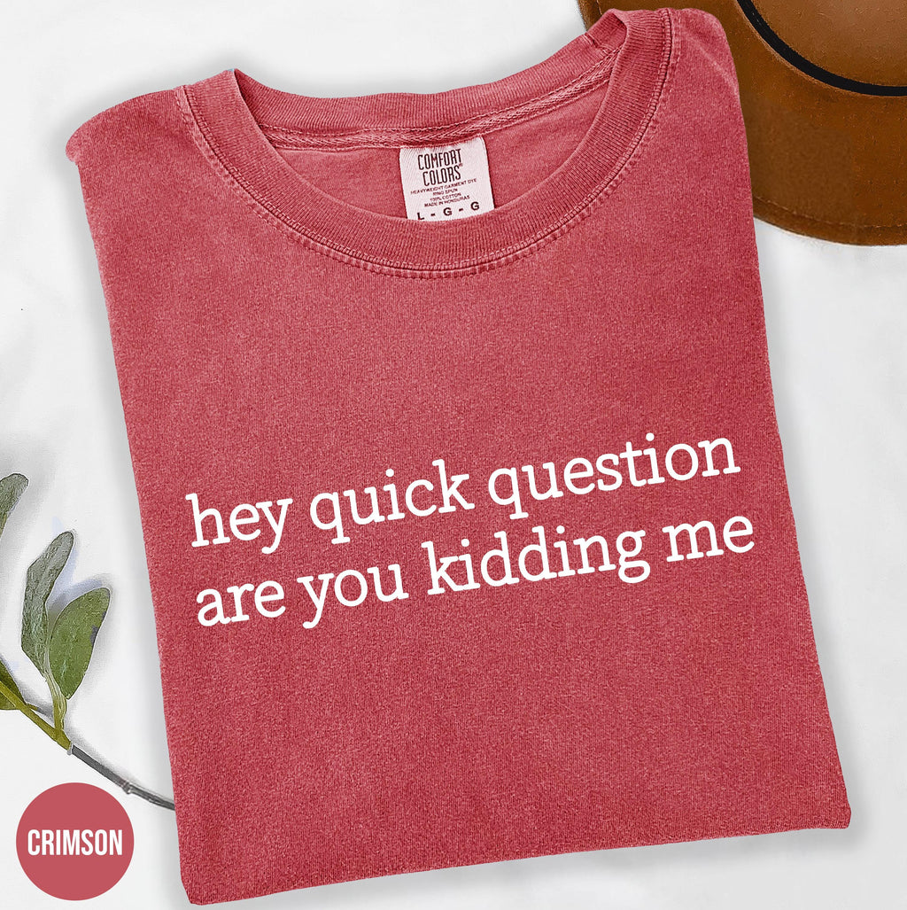 Comfort Colors® Hey Quick Question Are You Kidding Me Shirt,  Sarcastic Tshirt,  Funny Humor Shirt, Funny Meme Shirt, Mental Health Shirt