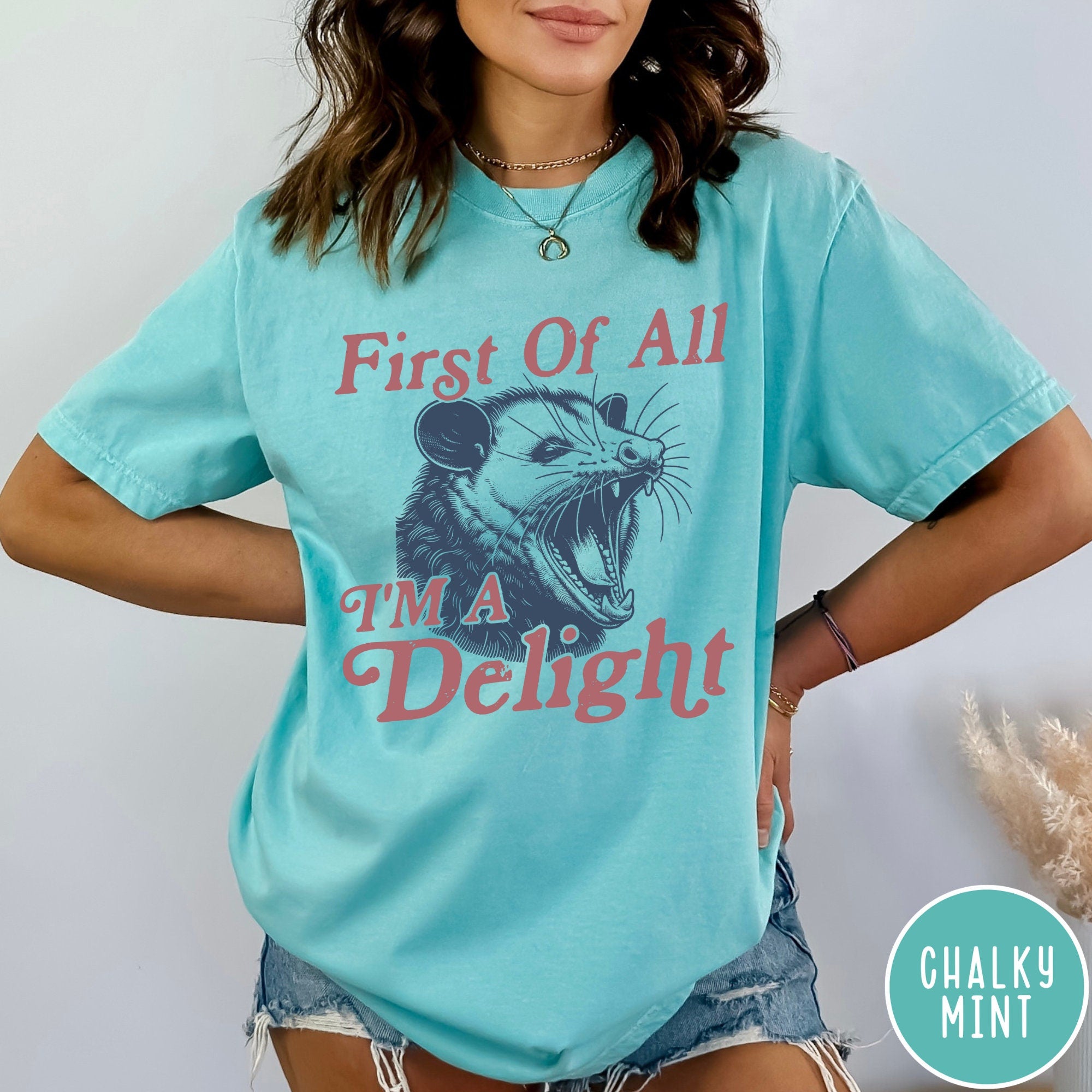 I'm a Delight Comfort Colors® T-Shirt, First of All, Vintage Possum Tshirt, Funny Retro Shirt, Graphic Tee, Funny Women's Aesthetic Tshirt