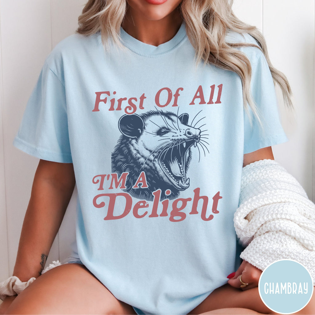 I'm a Delight Comfort Colors® T-Shirt, First of All, Vintage Possum Tshirt, Funny Retro Shirt, Graphic Tee, Funny Women's Aesthetic Tshirt