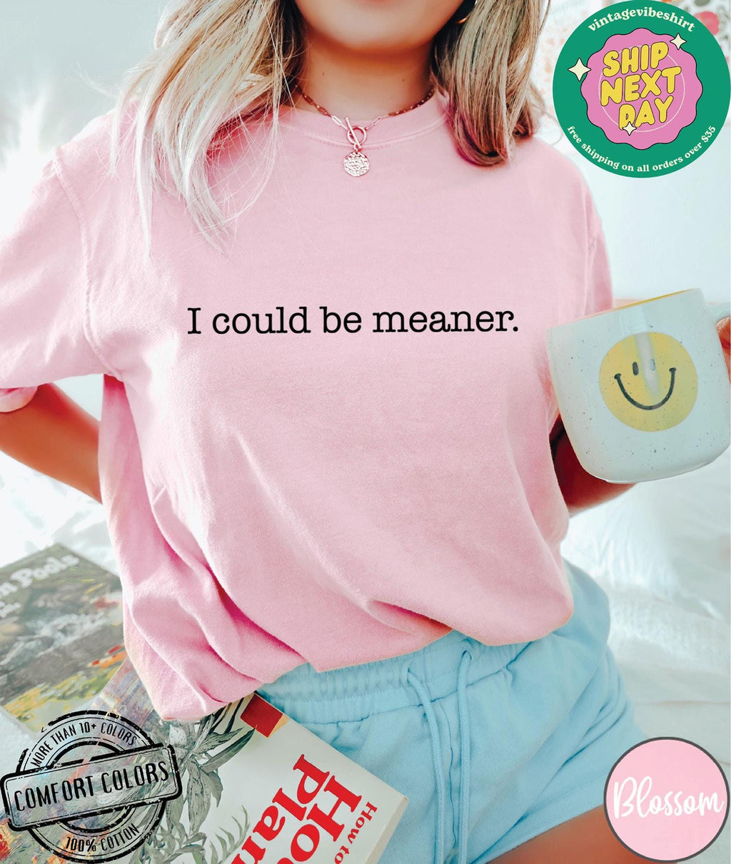 I Could Be Meaner Shirt Comfort Colors®, Sarcastic Sweatshirt, Funny Quote Crewneck, Funny Humor Shirt, Trendy Shirt For Woman, Sarcasm Tees