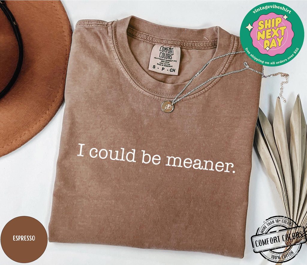 I Could Be Meaner Shirt Comfort Colors®, Sarcastic Sweatshirt, Funny Quote Crewneck, Funny Humor Shirt, Trendy Shirt For Woman, Sarcasm Tees