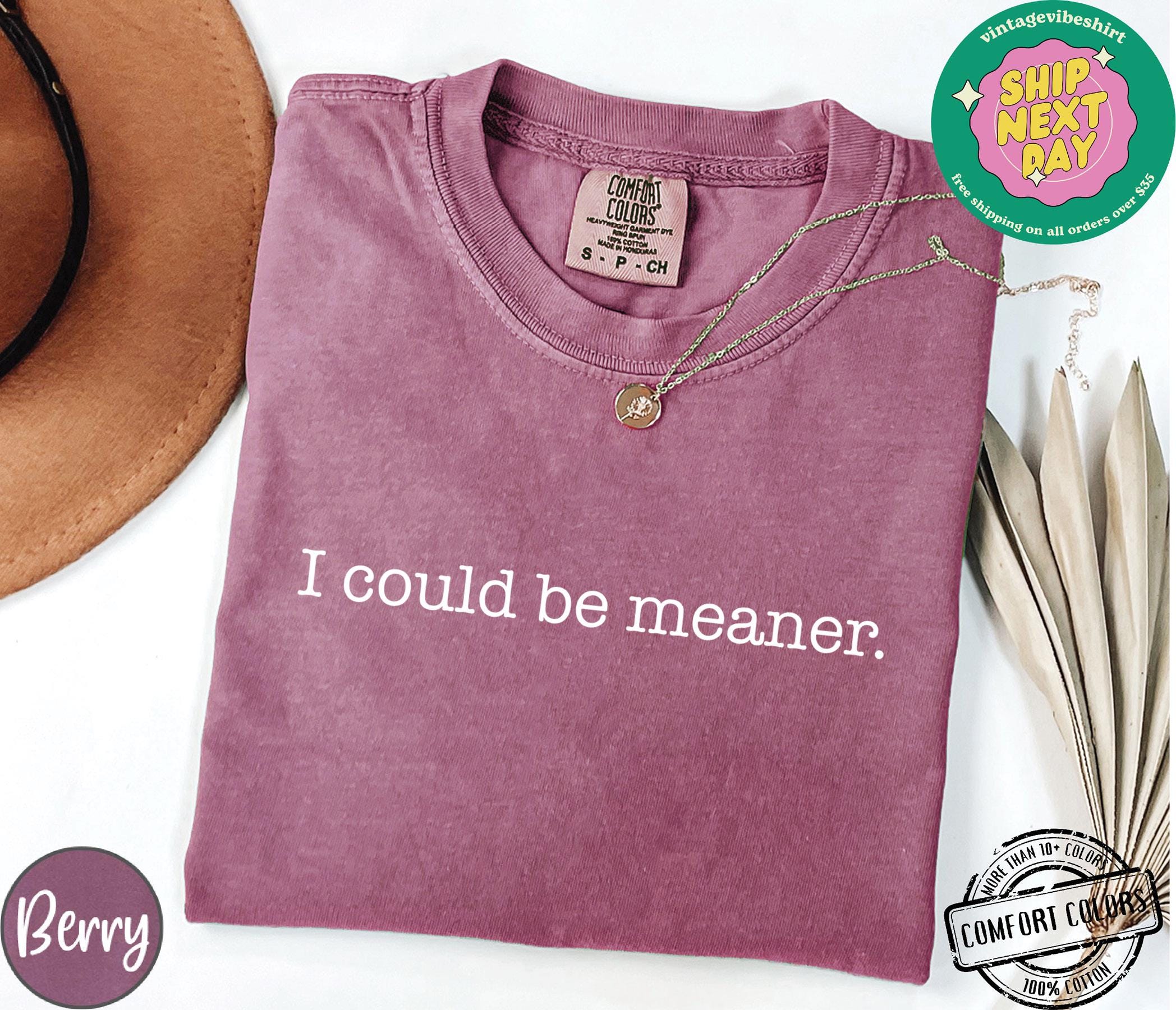 I Could Be Meaner Shirt Comfort Colors®, Sarcastic Sweatshirt, Funny Quote Crewneck, Funny Humor Shirt, Trendy Shirt For Woman, Sarcasm Tees